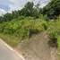  Land for sale in Ko Chang, Ko Chang, Ko Chang