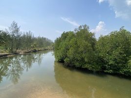  Land for sale in Bang Toei, Mueang Phangnga, Bang Toei