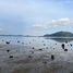  Land for sale in Rawai, Phuket, Rawai, Phuket Town