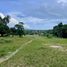  Land for sale in Maenam, Koh Samui, Maenam