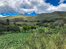  Land for sale in Quinara, Loja, Quinara