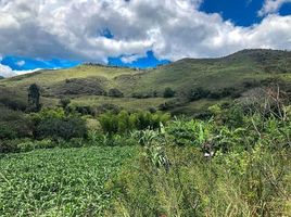  Land for sale in Loja, Loja, Quinara, Loja