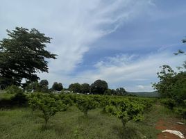  Grundstück zu verkaufen in Pak Chong, Nakhon Ratchasima, Mu Si, Pak Chong, Nakhon Ratchasima