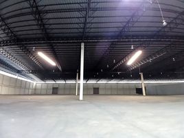  Warehouse for rent in Thailand, Bang Pakong, Bang Pakong, Chachoengsao, Thailand
