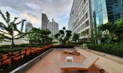 图片 2 of the Communal Garden Area at The Trendy Condominium