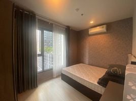 2 Schlafzimmer Wohnung zu vermieten im Life Asoke Rama 9, Makkasan