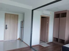 1 Bedroom Condo for rent at La Habana , Nong Kae