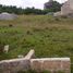  Land for sale in Tema, Greater Accra, Tema