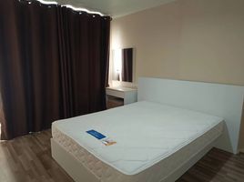 2 Schlafzimmer Appartement zu verkaufen im Parano Condo @ Chiangmai, Tha Sala