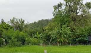 N/A Grundstück zu verkaufen in Pak Khao San, Saraburi 