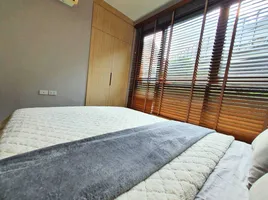 คอนโด 1 ห้องนอน ให้เช่า ในโครงการ เดอะ เบส สุขุมวิท 77, พระโขนงเหนือ, วัฒนา