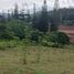  Land for sale in Phetchabun, Thung Samo, Khao Kho, Phetchabun