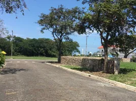  Land for sale at Phoenix Golf Villa, Huai Yai, Pattaya, Chon Buri