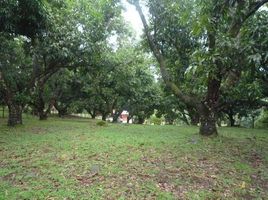  Land for sale in San Mateo, Alajuela, San Mateo