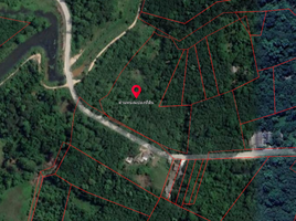  Land for sale in Mueang Narathiwat, Narathiwat, Manang Tayo, Mueang Narathiwat