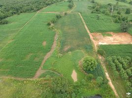  Grundstück zu verkaufen in Wang Nam Khiao, Nakhon Ratchasima, Wang Nam Khiao, Wang Nam Khiao, Nakhon Ratchasima