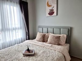 1 Bedroom Condo for rent at Rich Park at Chaophraya, Sai Ma, Mueang Nonthaburi, Nonthaburi, Thailand