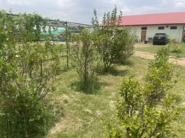  Land for sale in Samrong, Ubon Ratchathani, Samrong, Samrong