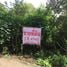 ขายที่ดิน ใน เมืองนครราชสีมา นครราชสีมา, ตลาด