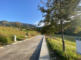  Grundstück zu verkaufen in Khao Kho, Phetchabun, Khaem Son