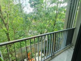 1 Bedroom Apartment for rent at Zcape X2, Choeng Thale, Thalang, Phuket