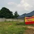  Land for sale in Wat Nong Ket Noi School, Nong Pla Lai, Nong Pla Lai