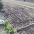  Land for sale in Chaloem Phra Kiat, Saraburi, Khao Din Phatthana, Chaloem Phra Kiat