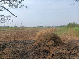 Land for sale in Khok Faet, Nong Chok, Khok Faet