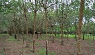 N/A Land for sale in Nam Chan, Bueng Kan 