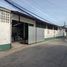  Warenhaus zu vermieten in Thailand, Talat Khwan, Mueang Nonthaburi, Nonthaburi, Thailand
