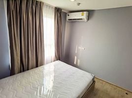 1 Schlafzimmer Wohnung zu vermieten im Rich Park at Chaophraya, Sai Ma, Mueang Nonthaburi, Nonthaburi