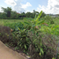  Land for sale in Nang Lae, Mueang Chiang Rai, Nang Lae