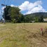  Land for sale in Pa Khlok, Phuket, Pa Khlok, Thalang