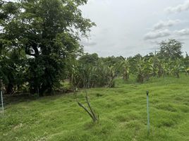  Grundstück zu verkaufen in Mueang Nakhon Ratchasima, Nakhon Ratchasima, Khok Sung