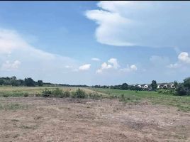  Land for sale in Lam Luk Ka, Pathum Thani, Lam Luk Ka, Lam Luk Ka