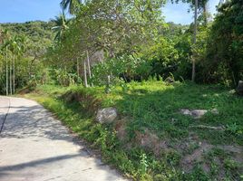  Grundstück zu verkaufen in Koh Samui, Surat Thani, Maenam