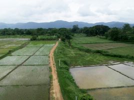  Grundstück zu verkaufen in San Sai, Chiang Mai, Nong Yaeng