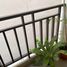 1 Bedroom Condo for rent at XVI The Sixteenth Condominium, Khlong Toei