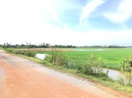  Grundstück zu verkaufen in Mueang Pattani, Pattani, Ru Samilae, Mueang Pattani, Pattani