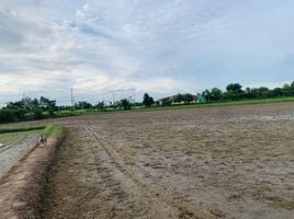 ขายที่ดิน ใน หนองฉาง อุทัยธานี, หนองฉาง, หนองฉาง, อุทัยธานี