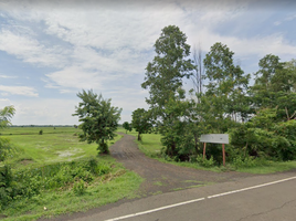  Land for sale in Buri Ram, Ta Pek, Chaloem Phra Kiat, Buri Ram