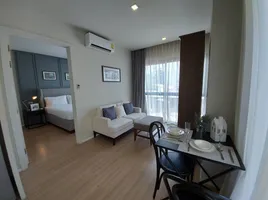 1 спален Кондо в аренду в Dlux Condominium , Чалонг