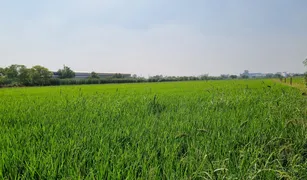 巴吞他尼 Khlong Nueng N/A 土地 售 