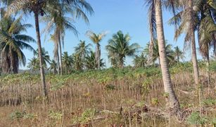 N/A Land for sale in Khao Mai Kaeo, Pattaya 