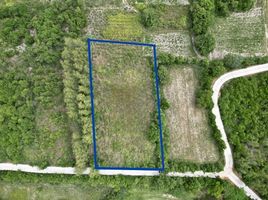  Land for sale in Ratchaburi, Suan Phueng, Ratchaburi