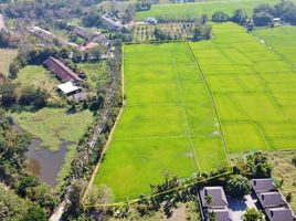  Land for sale in San Kamphaeng, Chiang Mai, Huai Sai, San Kamphaeng