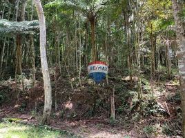  Land for sale in Nova Friburgo, Rio de Janeiro, Nova Friburgo, Nova Friburgo