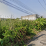  Land for sale in Pathum Thani, Bang Prok, Mueang Pathum Thani, Pathum Thani