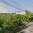  Land for sale in Bang Prok, Mueang Pathum Thani, Bang Prok