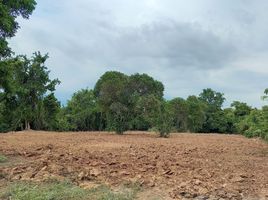  Land for sale in Ban Phrik, Ban Na, Ban Phrik